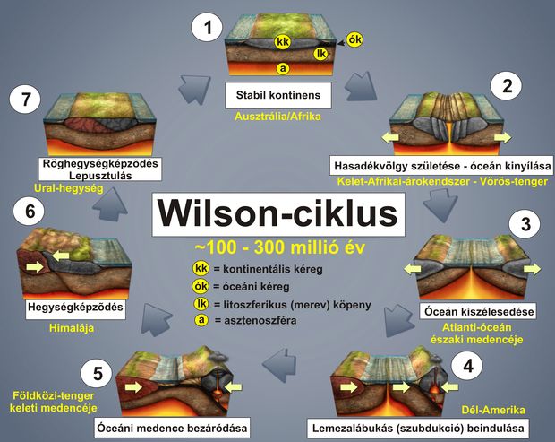 Wilson-ciklus