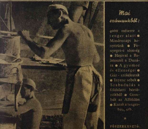 Élet és Tudomány, 1947. július-december (2. évfolyam, 13-34