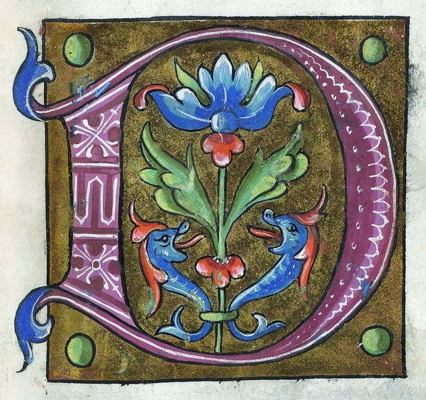 Búzavirággal és halakkal ékesített D betű egy XVI. századi francia ábécéskönyvből