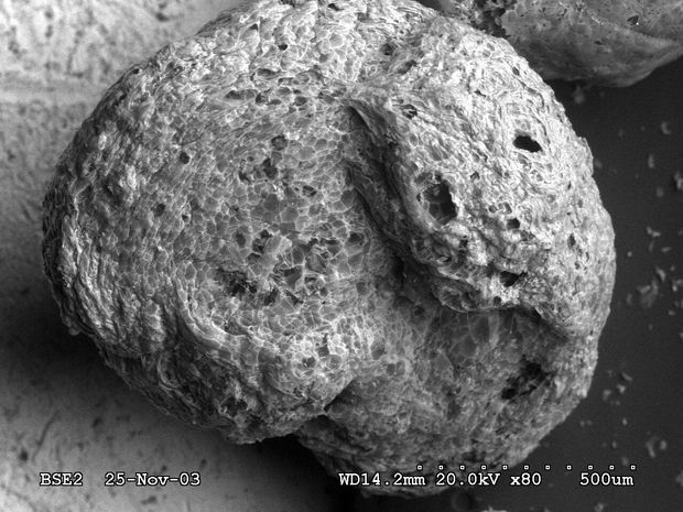  Duzzasztott perlitszemcse elektronmikroszkópos felvétele nyolcvanszoros nagyításban