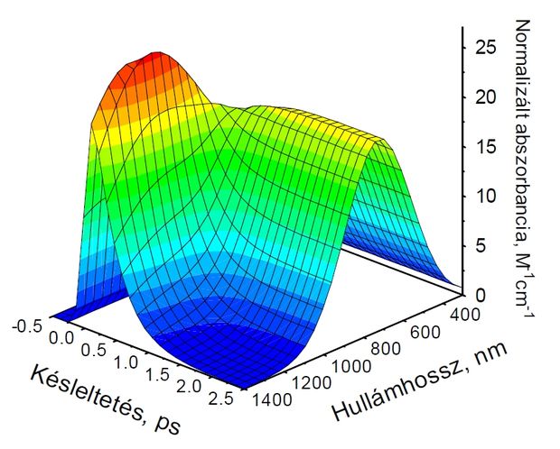 Elektron vízben oldódását nyomon követő ultragyors lézerkinetikai mérések eredménye. A 2,5 ps időskála mentén (kissé bal oldalról) az adott hullámhosszon mérhető fényelnyelés időbeli változását követhetjük. A 400–1400 nanométeres hullámhosszskála mentén (kissé jobb oldalról) a különböző késleltetéseknél mérhető fényelnyelés hullámhosszfüggése (az abszorpciós spektrum) látható. A felületen azt láthatjuk, hogy a kezdetben nagy hullámhosszaknál tapasztalható elnyelési maximum idővel kb. 600 nm-es maximumot mutató spektrumba – az oldott elektron spektrumába – megy át.