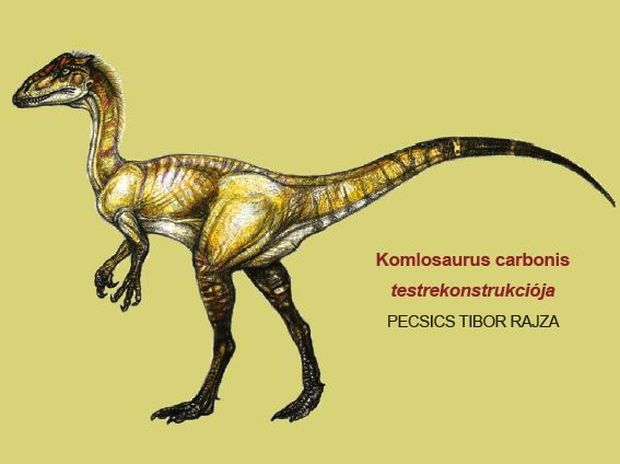 Komlosaurus carbonis testrekonstrukciója PECSICS TIBOR RAJZA