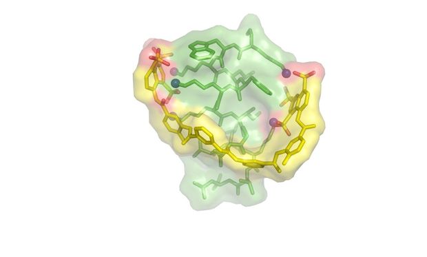 Egy antimikrobiális peptid, a CM15, amint egy szerves kismolekula helikális konformációba kényszeríti. A képhez kapcsolódó publikació az RSC Advances-ben jelent meg 2017-ben.
