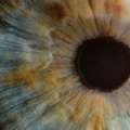 Pupillometria – A gondolkodás és az agyműködés közti kapcsolat