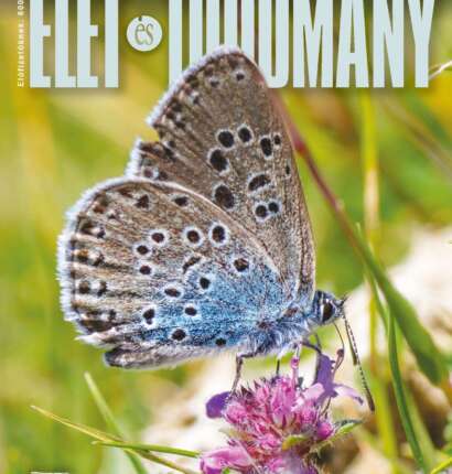 Élet és Tudomány - LXXIX. évfolyam - 30. szám - 2024. július 25. (digitális)