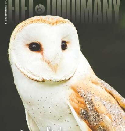 Élet és Tudomány - LXXXI. évfolyam - 17. szám - 2026. április 24. (digitális)