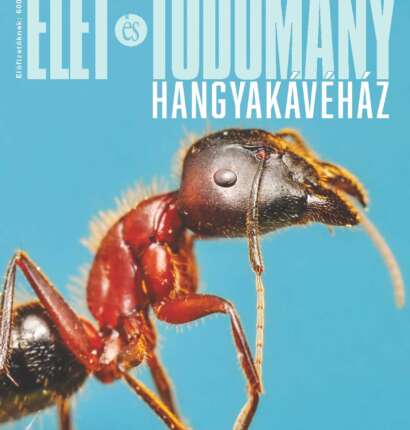 Élet és Tudomány - LXXXI. évfolyam - 18. szám - 2026. május 1. (digitális)