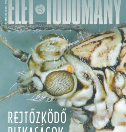 Élet és Tudomány - LXXXI. évfolyam - 37. szám - 2026. szeptember 11. (digitális)